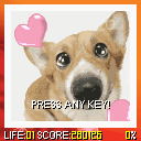 Pet Xonix